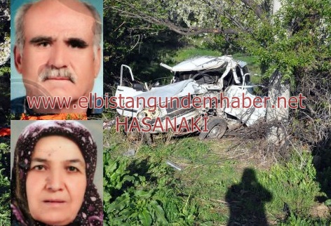 Muhtar ve Eşi Kaza Kurbanı