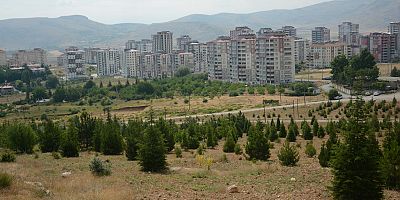 Orman Alanlarında Yangın Tedbiri