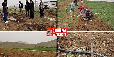 OSB Badem ve Ceviz Dünyasına Dönüşecek