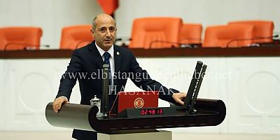 Öztunç Unutulmuş Köyü TBMM’ye Taşıdı