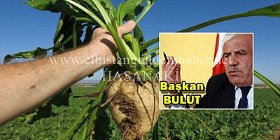 Pancar Üreticisine Yine Hüsran Düştü