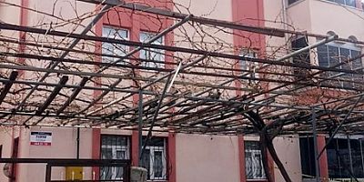 Pencereden Düştü Hayatını Kaybetti