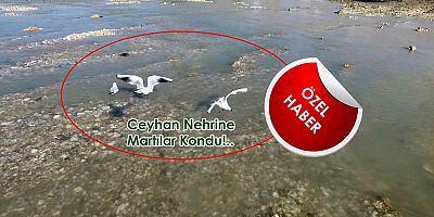 Pınarbaşı’na MARTI Kondu
