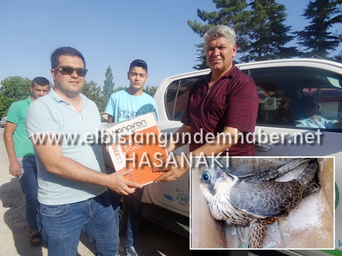 Şahine Uzanan Eller Kırılsın!