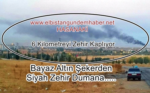 Şeker Nalına da Vuruyor Mıhına da!