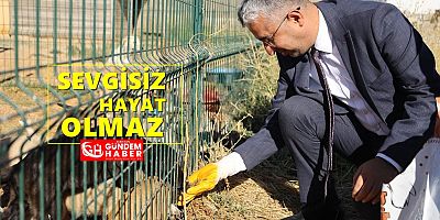 “Sokak Hayvanlarına Hayat Sunuluyor”