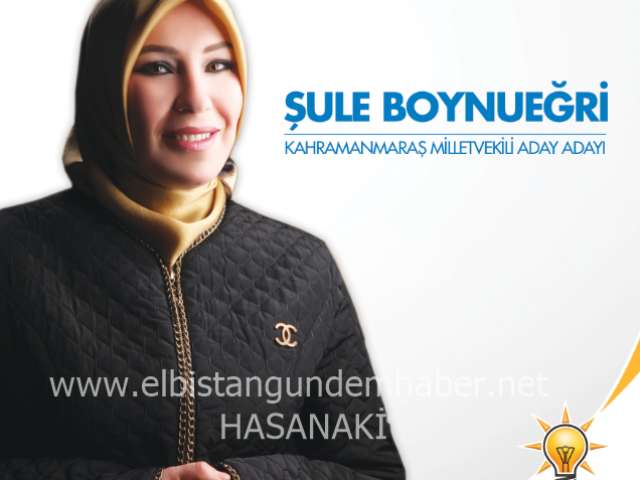 Şule Boynueğri DOLU DİZGİN