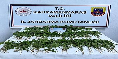 Tabanca Tüfek Uyuşturucu Neler Neler!