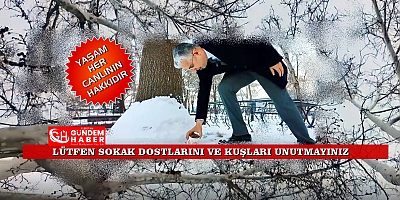 YA KUŞLAR SUSAR İSE ?..