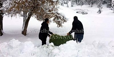 Yaban Hayvanları Unutulmadı