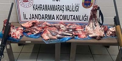 Yaban Keçisi Kaçak Avcılarına Rekor Ceza