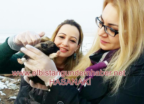Yaratılanı Sevdiler Yaratandan Ötürü