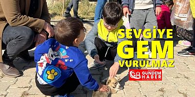 Yaratılanı Seviyorlar Yaratandan Ötürü