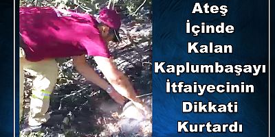 YAŞAM HER CANLININ HAKKIDIR!