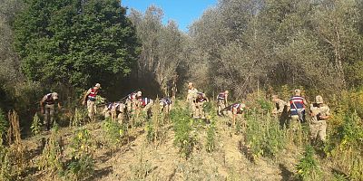 Yaylada Kenevir Operasyonu