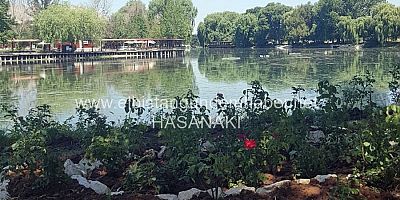 Yeşil Alanlara Sürekli Bakım
