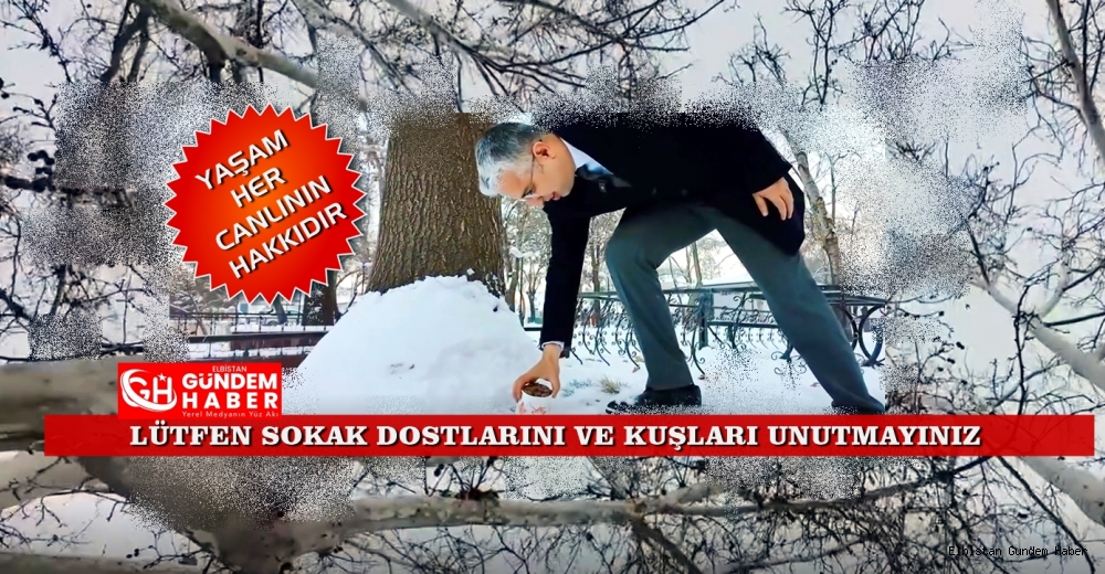 YA KUŞLAR SUSAR İSE ?..